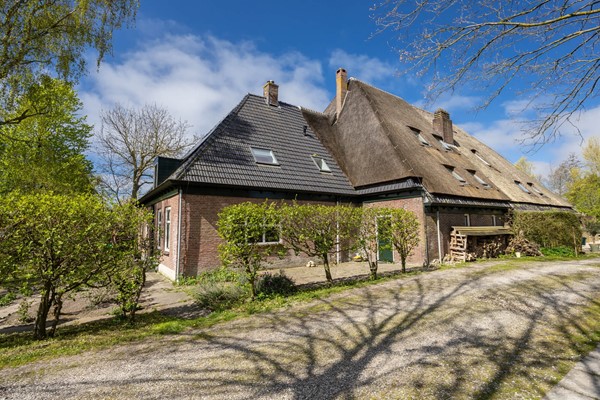 FotovanDana-Wollegras 77-53.jpg